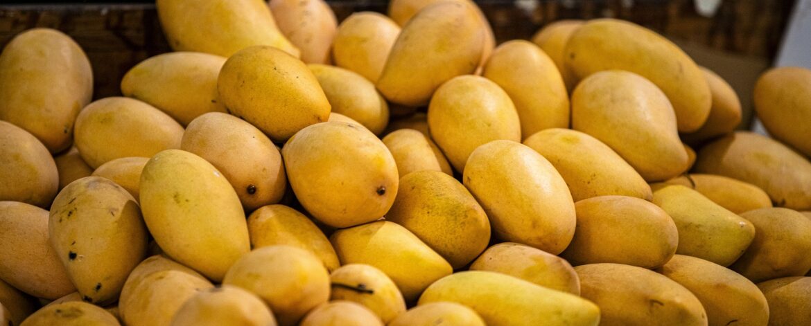 mango