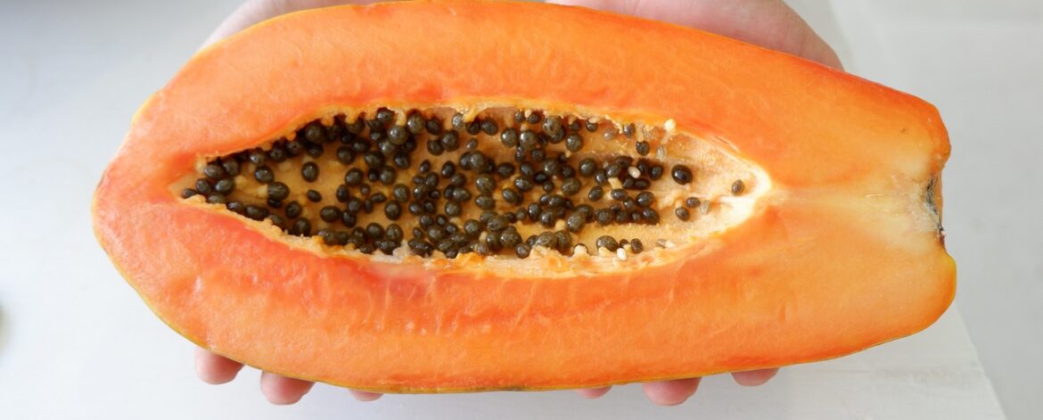 papaya-4793215_1280