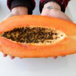 Papaya