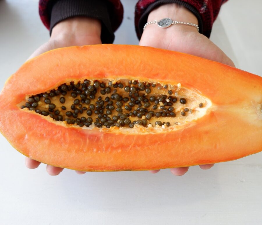 papaya-4793215_1280