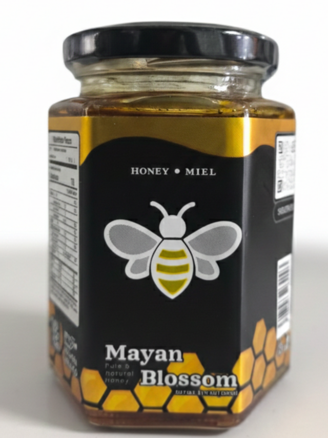 Gemini_Generated_Image_hxtf16hxtf16hxtf (1)