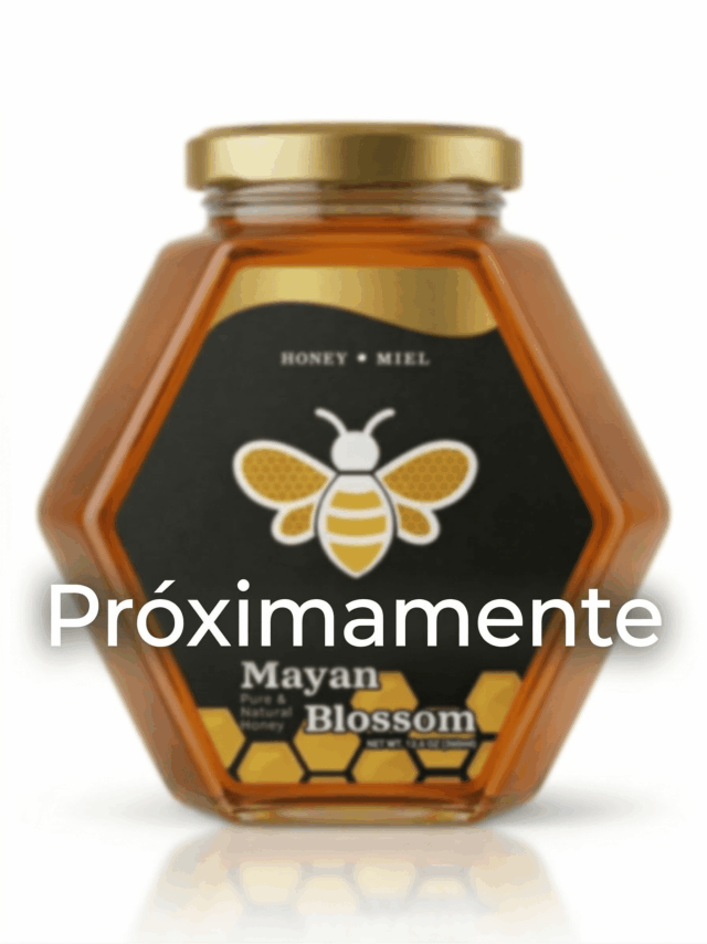 Gemini_Generated_Image_yiark9yiark9yiar