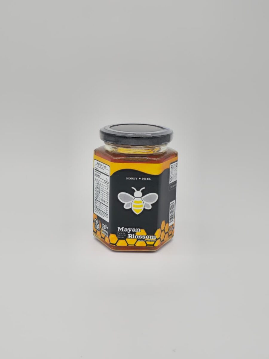 WhatsApp Image 2026-02-17 at 12.54.55 PM (1)