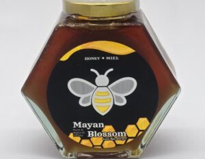 Miel de abeja 485grs